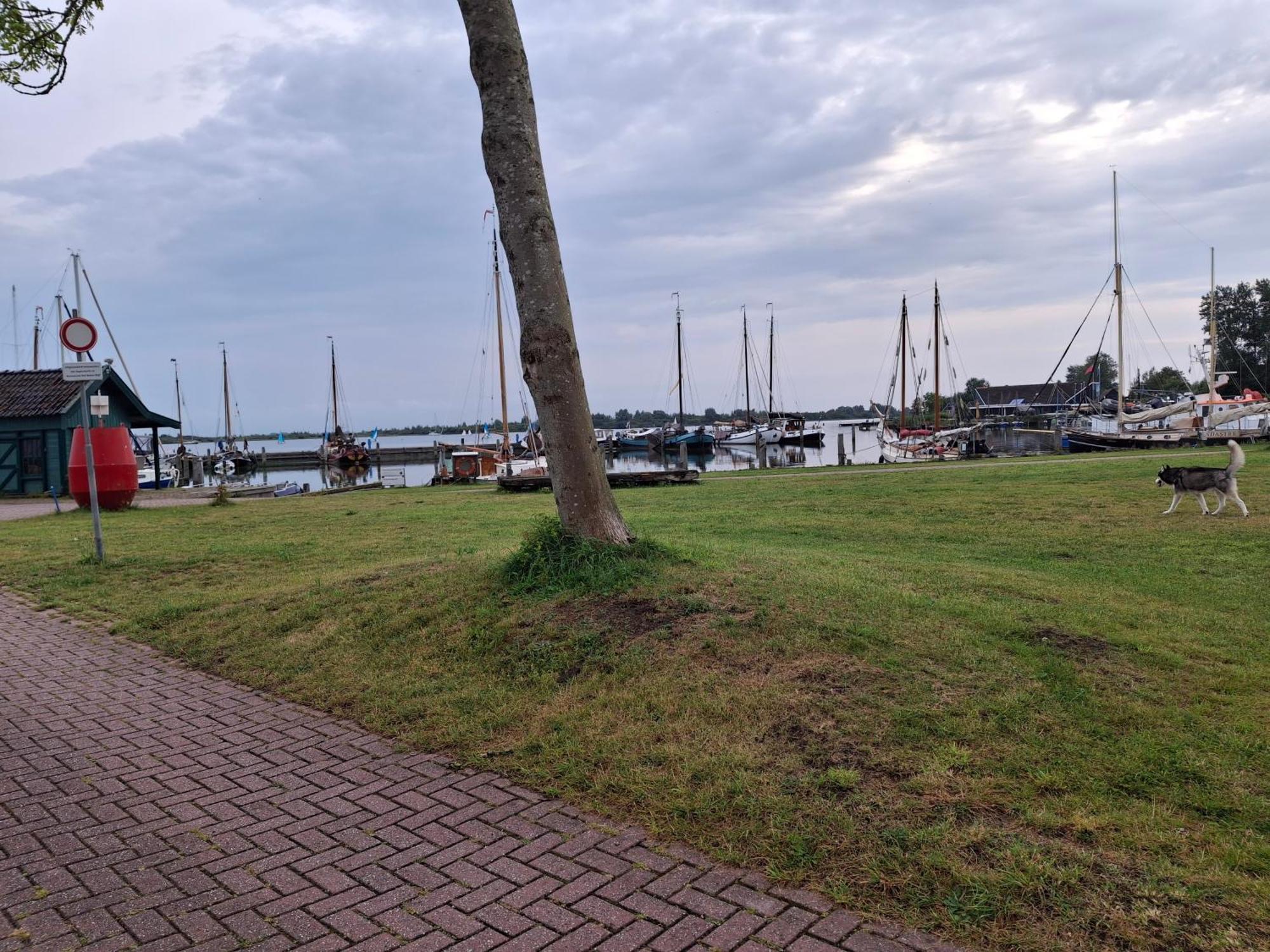 Chalet Babbelaar 6 - Premium Locatie Lauwersoog Buitenkant foto